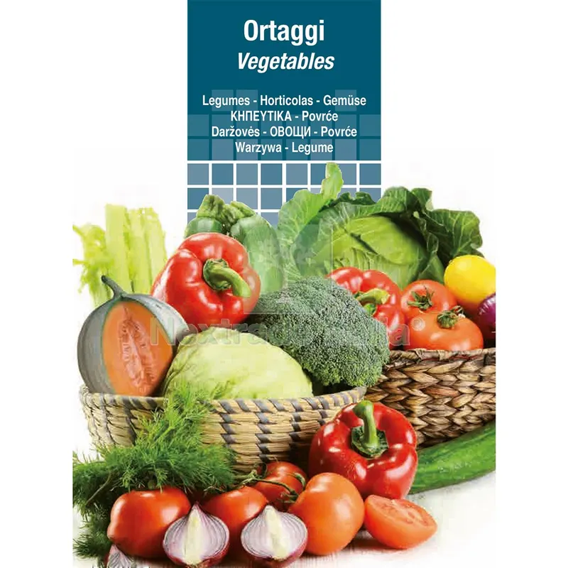 10PZ SEMI PER ORTAGGI E VEGETALI rucola selvatica — Protezione piante e sementi — rif. FERX.6125627NLM 10PZ SEMI PER ORTAGGI E VEGETALI rucola selvatica — Protezione piante e sementi — rif. FERX.6125627NLM