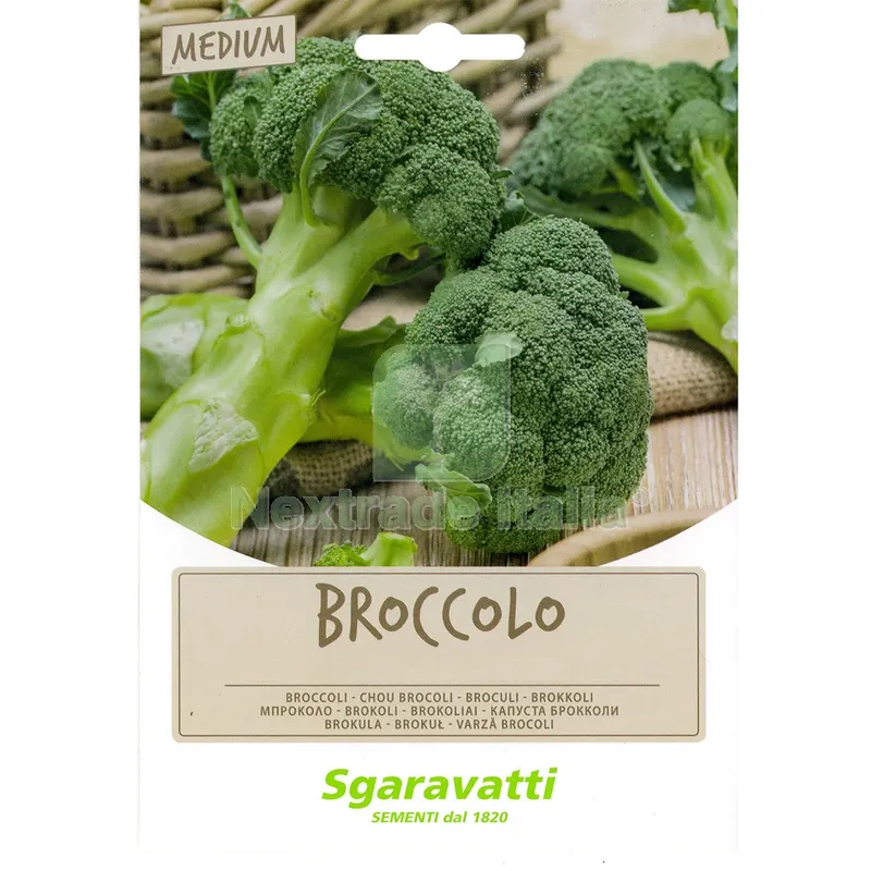 10PZ SEMI PER FAVE broccoletto novantino - gr 100 — Protezione piante e sementi — rif. FERX.6125809NLM 10PZ SEMI PER FAVE broccoletto novantino - gr 100 — Protezione piante e sementi — rif. FERX.6125809NLM