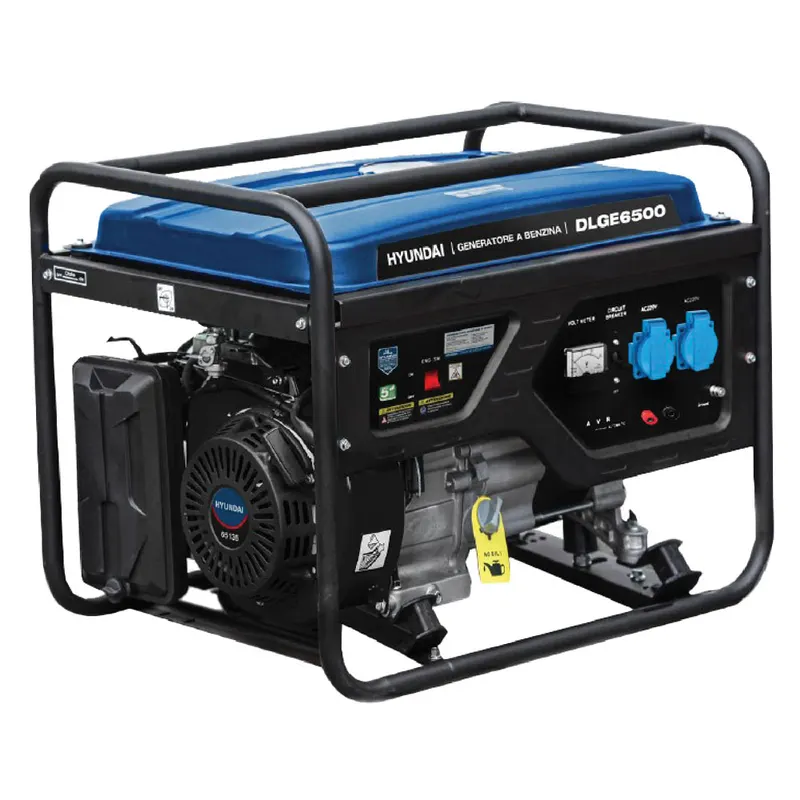 Generatore '65136' 5,5 KW Hp 14 — Pompe — rif. FERX.5112597NLM