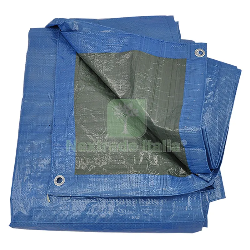 TELONE OCCHIELLATO mt 12 x 8 - 80 gr/mq. — Teli, sacchi e reti agricole — rif. FERX.606795NLM TELONE OCCHIELLATO mt 12 x 8 - 80 gr/mq. — Teli, sacchi e reti agricole — rif. FERX.606795NLM