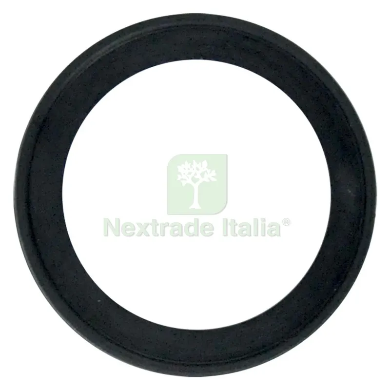 GUARNIZIONE PER IMBUTO INOX per N.5 — Guarnizioni e tenute — rif. FERX.8400792NLM