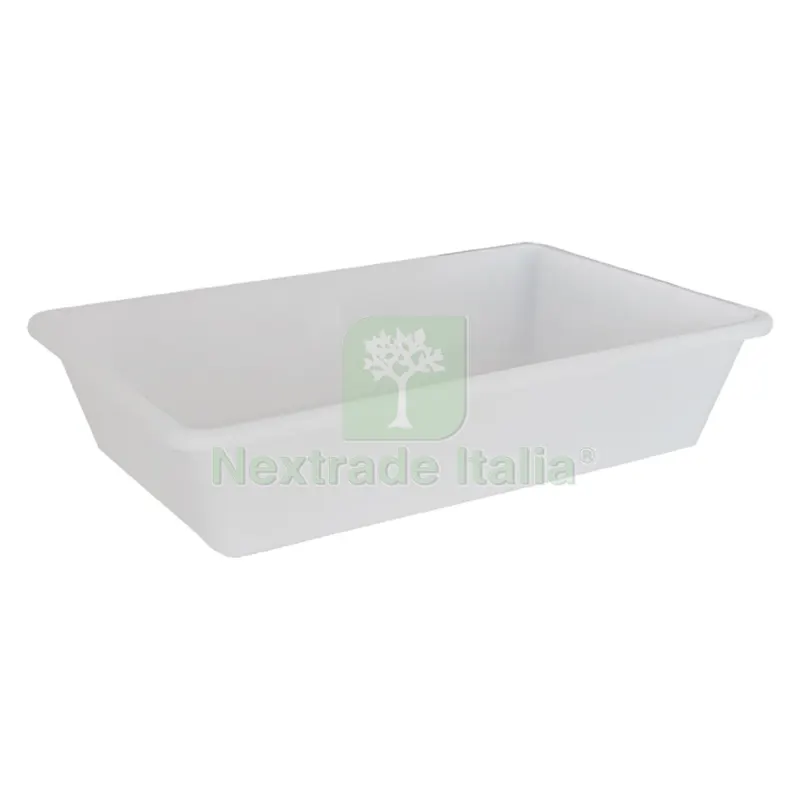 VASCHETTA PER PESCE cm 50 x 34 x h 12 — Casalinghi e organizzazione — rif. FERX.841086NLM VASCHETTA PER PESCE cm 50 x 34 x h 12 — Casalinghi e organizzazione — rif. FERX.841086NLM