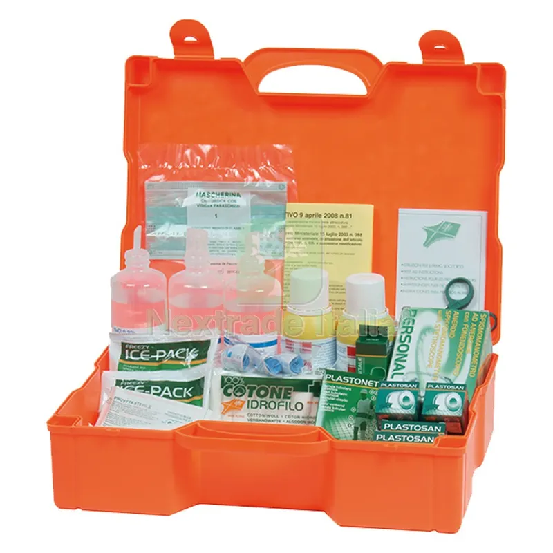 CASSETTA PRIMO SOCCORSO cm 51 x 41 x 13 — Casalinghi e organizzazione — rif. FERX.106440NLM CASSETTA PRIMO SOCCORSO cm 51 x 41 x 13 — Casalinghi e organizzazione — rif. FERX.106440NLM