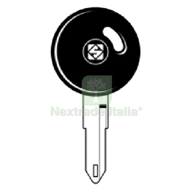 5PZ CHIAVI ACCIAIO TESTA P. VERDE NE72GP — Serrature e cilindri — rif. FERX.324970NLM 5PZ CHIAVI ACCIAIO TESTA P. VERDE NE72GP — Serrature e cilindri — rif. FERX.324970NLM