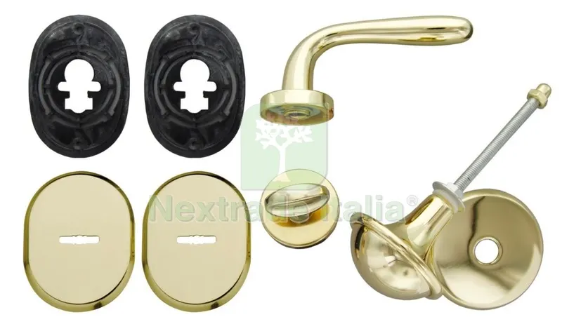 Kit Porte Blindate Doppia Mappa Mano Destra Finitura Oro Lucido — Chiavi grezze e duplicati — rif. FERX.10621 Kit Porte Blindate Doppia Mappa Mano Destra Finitura Oro Lucido — Chiavi grezze e duplicati — rif. FERX.10621