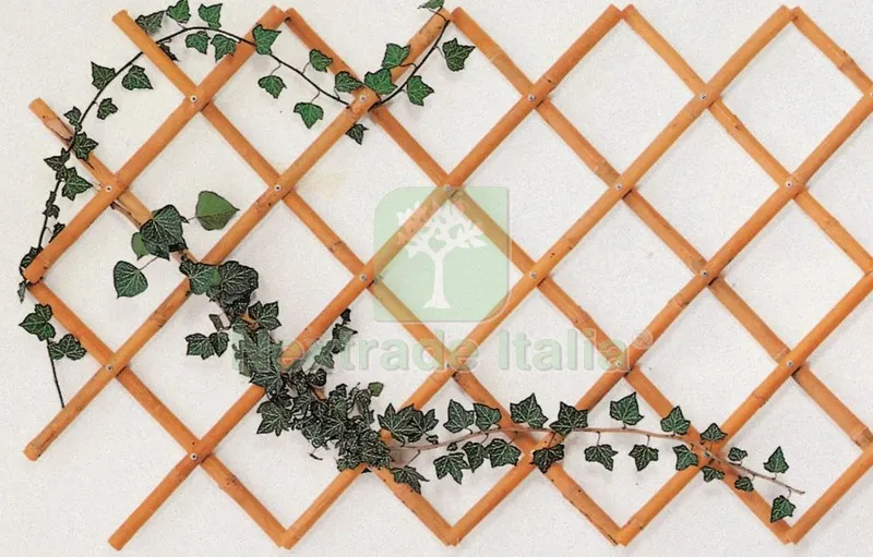 5PZ Traliccio in Bamboo Diametro MM 14/16 Sviluppo CM 100X200 — Attrezzi da giardino — rif. FERX.10653 5PZ Traliccio in Bamboo Diametro MM 14/16 Sviluppo CM 100X200 — Attrezzi da giardino — rif. FERX.10653