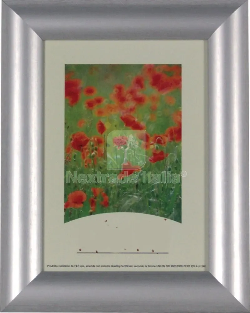 5PZ Cornice per Quadri "morgante" Dimensioni CM 18X24 Colore Argento — Quadri e cornici — rif. FERX.11227