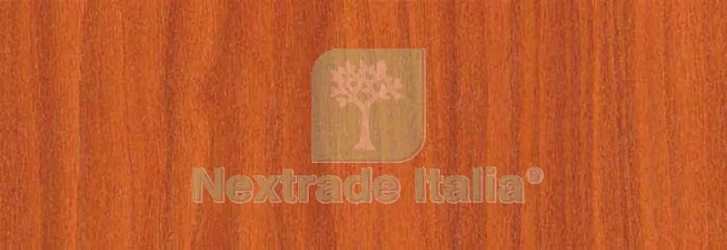Plastica Adesiva Alkor 280.2445 Altezza 45CM Rotolo da 15M — Adesivi e sigillanti — rif. FERX.11850