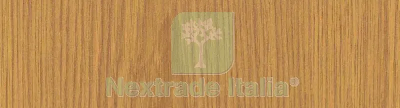 Plastica Adesiva Alkor 280.2223 15 M — Adesivi e sigillanti — rif. FERX.11934