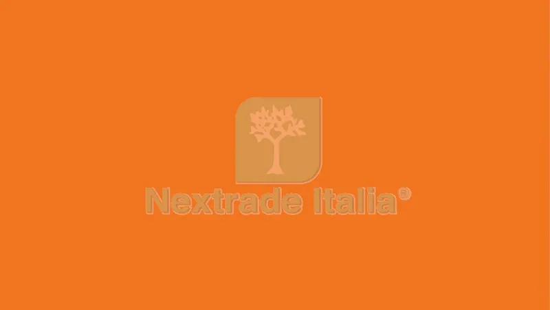 Plastica Adesiva Alkor 280.2878 Arancio Lucido MT.15 — Adesivi e sigillanti — rif. FERX.13046
