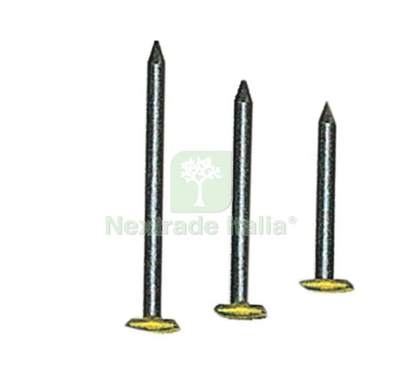 10CF Chiodi Testa Ricoperta in Ottone MM. 2X25 Confezione PZ.100 — Tessili e biancheria casa — rif. FERX.13713 10CF Chiodi Testa Ricoperta in Ottone MM. 2X25 Confezione PZ.100 — Tessili e biancheria casa — rif. FERX.13713