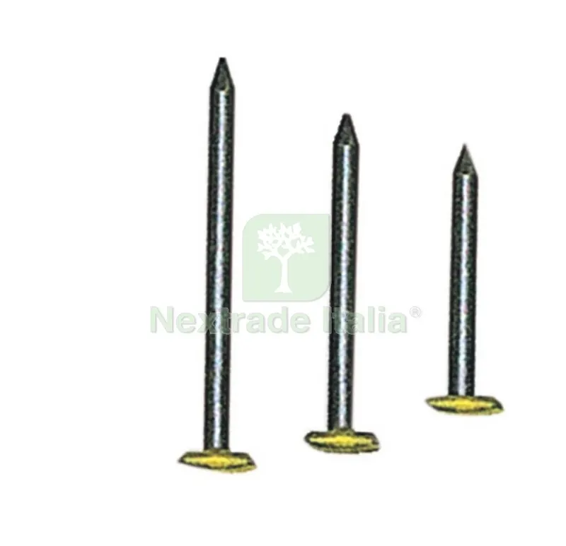 10CF Chiodi Testa Ricoperta in Ottone MM. 2X30 Confezione PZ.100 — Tessili e biancheria casa — rif. FERX.13771 10CF Chiodi Testa Ricoperta in Ottone MM. 2X30 Confezione PZ.100 — Tessili e biancheria casa — rif. FERX.13771