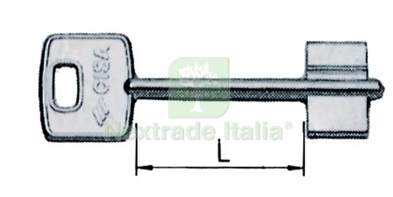 10PZ Cisa ART. 00100.001 Chiave Grezza D.M. — Serrature e cilindri — rif. FERX.15139