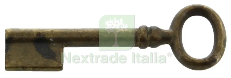 25PZ Chiave Antichizzata Mappa Larga ART. 33718-24/69 Ottone Anticato — Viti — rif. FERX.16598 25PZ Chiave Antichizzata Mappa Larga ART. 33718-24/69 Ottone Anticato — Viti — rif. FERX.16598