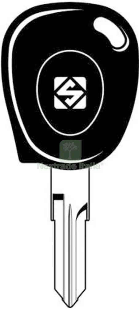 2PZ Chiave Transparente Vuota Silca VAC102TE GR.96 — Serrature e cilindri — rif. FERX.17227