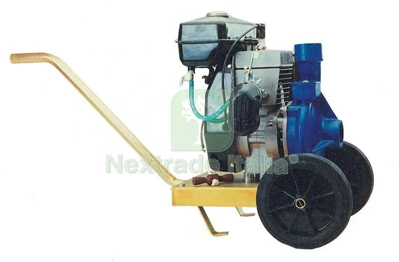 Motopompa Irrigazione CM 90/1 Centrifuga con Carrello — Irrigazione — rif. FERX.19398