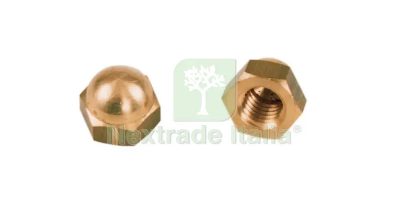 25PZ DADI CIECHI OTTONE 12MA — Bulloni, dadi e rondelle — rif. FERX.1945 25PZ DADI CIECHI OTTONE 12MA — Bulloni, dadi e rondelle — rif. FERX.1945