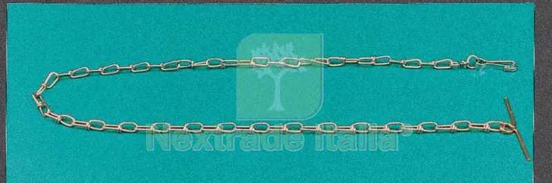 12PZ Catena x Cani "vittoria" CM.120 GR.15 Zincata — Cani — rif. FERX.19622