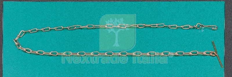 12PZ Catena x Cani "vittoria" CM.120 GR.17 Zincata — Cani — rif. FERX.19635