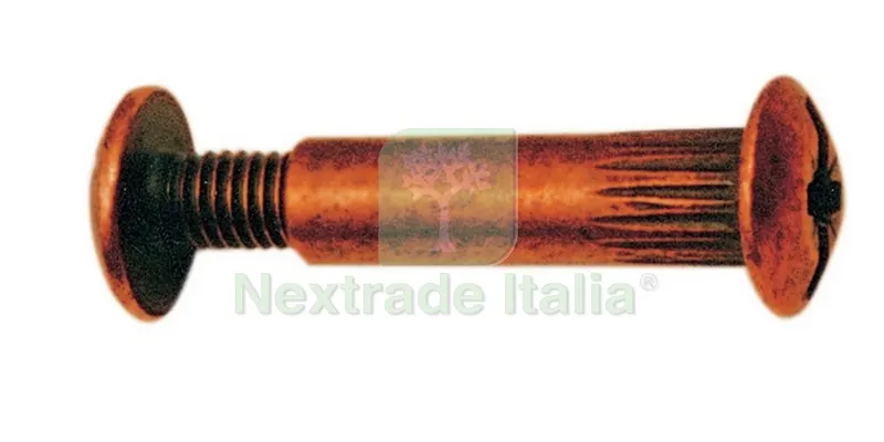 250PZ GIUNZIONE X MOBILI BRONZATE MM. 8X30-VITE 15 — Viti — rif. FERX.19881 250PZ GIUNZIONE X MOBILI BRONZATE MM. 8X30-VITE 15 — Viti — rif. FERX.19881