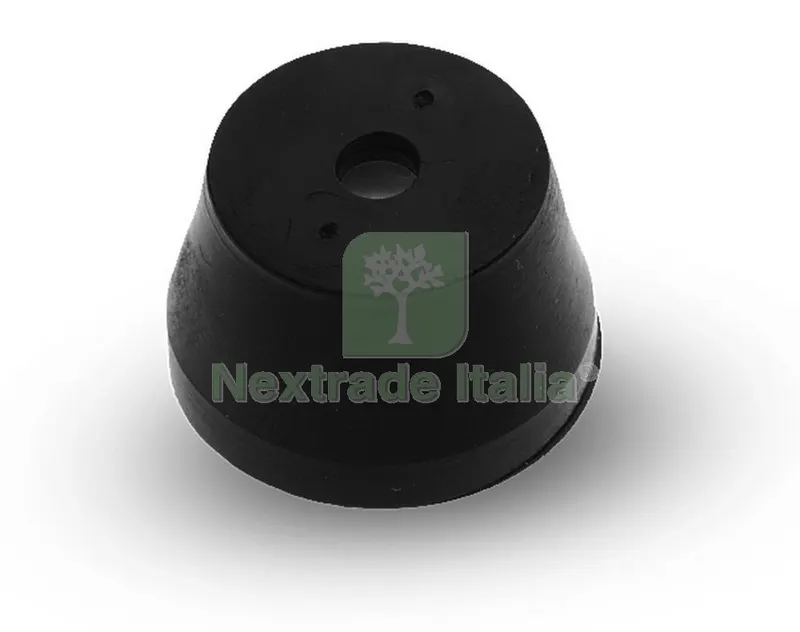 10PZ STANTUFFI IN GOMMA PER POMPA RAME-TOSCANO — Attrezzi da giardino — rif. FERX.19964 10PZ STANTUFFI IN GOMMA PER POMPA RAME-TOSCANO — Attrezzi da giardino — rif. FERX.19964