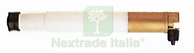POMPANTE NYLON PER POMPA PLASTICA 12 L — Protezione piante e sementi — rif. FERX.19967 POMPANTE NYLON PER POMPA PLASTICA 12 L — Protezione piante e sementi — rif. FERX.19967