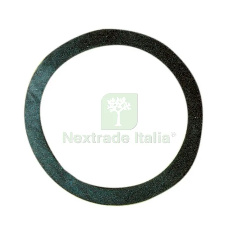 100PZ Guarnizione per Resistenza Flangiata — Guarnizioni e tenute — rif. FERX.20656