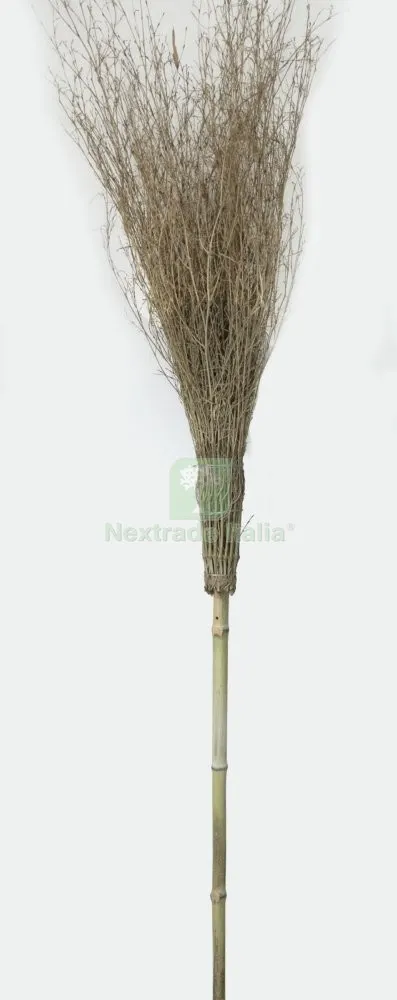 20PZ Scopa in Bambu' CM.210 18Rami Import — Casalinghi e organizzazione — rif. FERX.20983