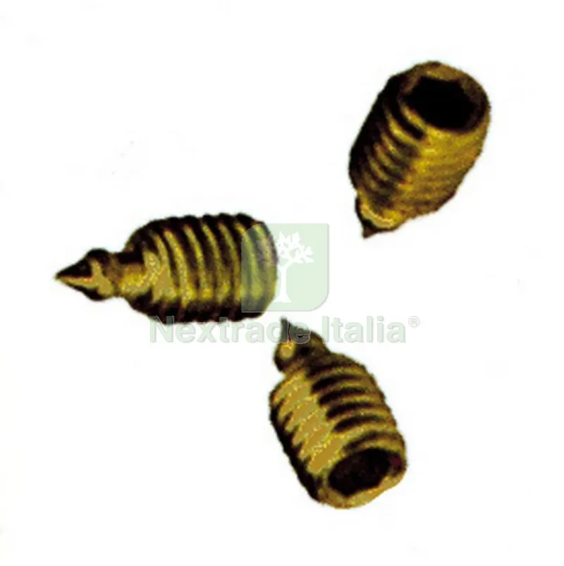 50PZ Grani Oro per Maniglie 6 Maschio — Maniglie e pomelli — rif. FERX.22656