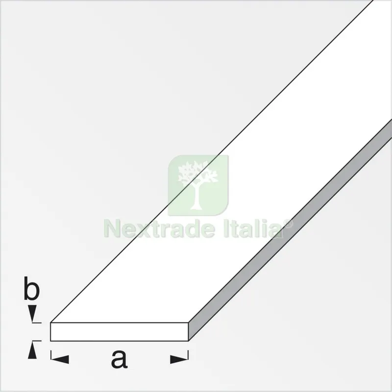 5PZ PROFILO BIANCO H.200 PIATTO 25X2 CM — Profili e angolari decorativi — rif. FERX.2311 5PZ PROFILO BIANCO H.200 PIATTO 25X2 CM — Profili e angolari decorativi — rif. FERX.2311