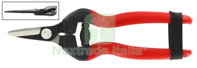 FORBICI PER UVA LAME DRITTE CORTE RIF.21095 — Misurazione e taglio manuale — rif. FERX.25166 FORBICI PER UVA LAME DRITTE CORTE RIF.21095 — Misurazione e taglio manuale — rif. FERX.25166