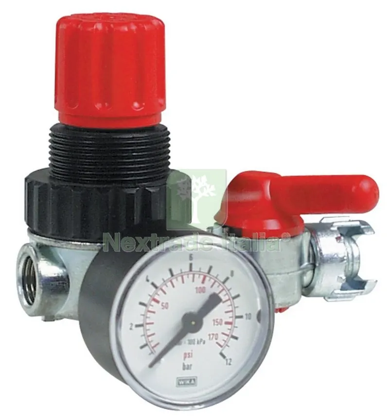 RIDUTTORE DI PRESSIONE PER COMPRESSORE — Rubinetti e valvole — rif. FERX.25397