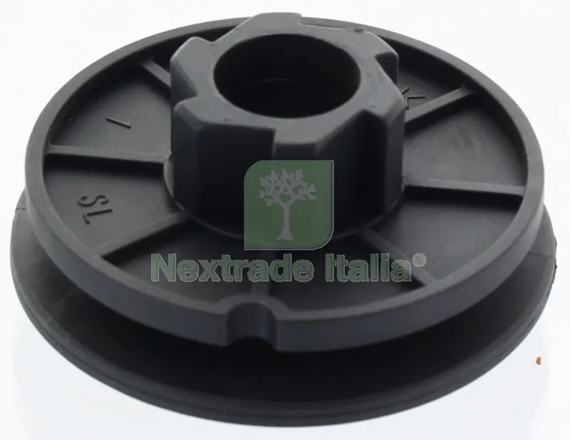 T.P.6SPK-250 Figura 10 Puleggia Avviamento — Ricambi e accessori macchine da giardino — rif. FERX.25962