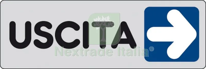 10PZ ETICHETTA ADESIVA 150X50 USCITA (DX) — Segnaletica e cartelli cantiere — rif. FERX.26331