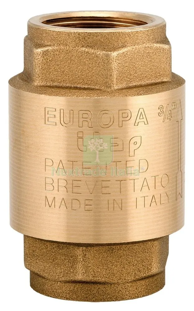 2PZ ITAP ART. 100 VALVOLA RITEGNO EUROPA GR.2 — Rubinetti e valvole — rif. FERX.2646 2PZ ITAP ART. 100 VALVOLA RITEGNO EUROPA GR.2 — Rubinetti e valvole — rif. FERX.2646