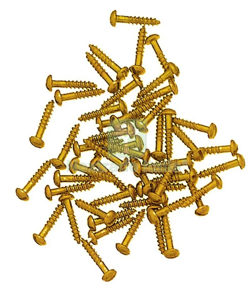 100PZ VITI FERRO OTTONATO A LEGNO TESTA BOMBATA 2X10 — Viti — rif. FERX.26842