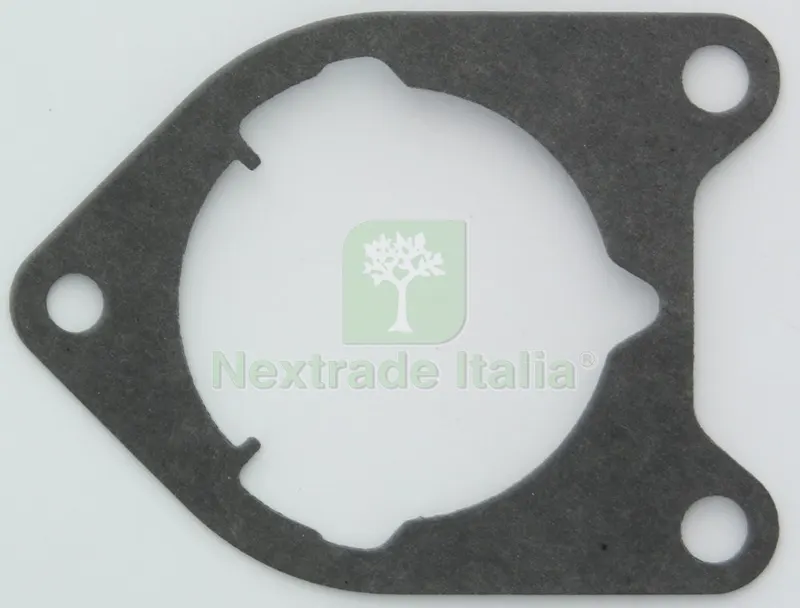 T.P.7SPK-250E FG.20 Guarnizione Cilindro — Guarnizioni e tenute — rif. FERX.27278