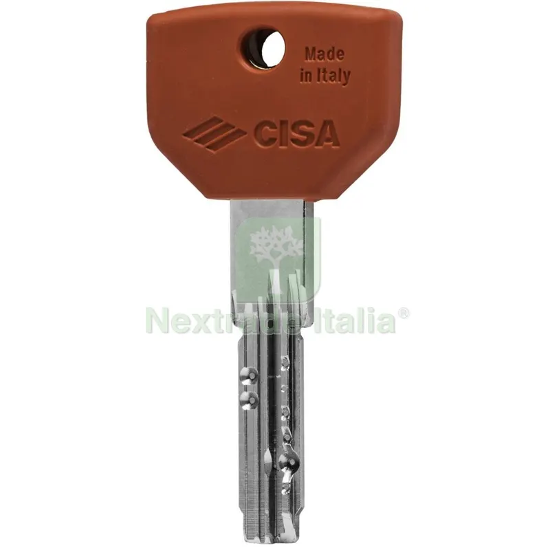 5PZ Cisa Chiave Grezza per Asix P8 Pro COD.00670.01 — Serrature e cilindri — rif. FERX.2896