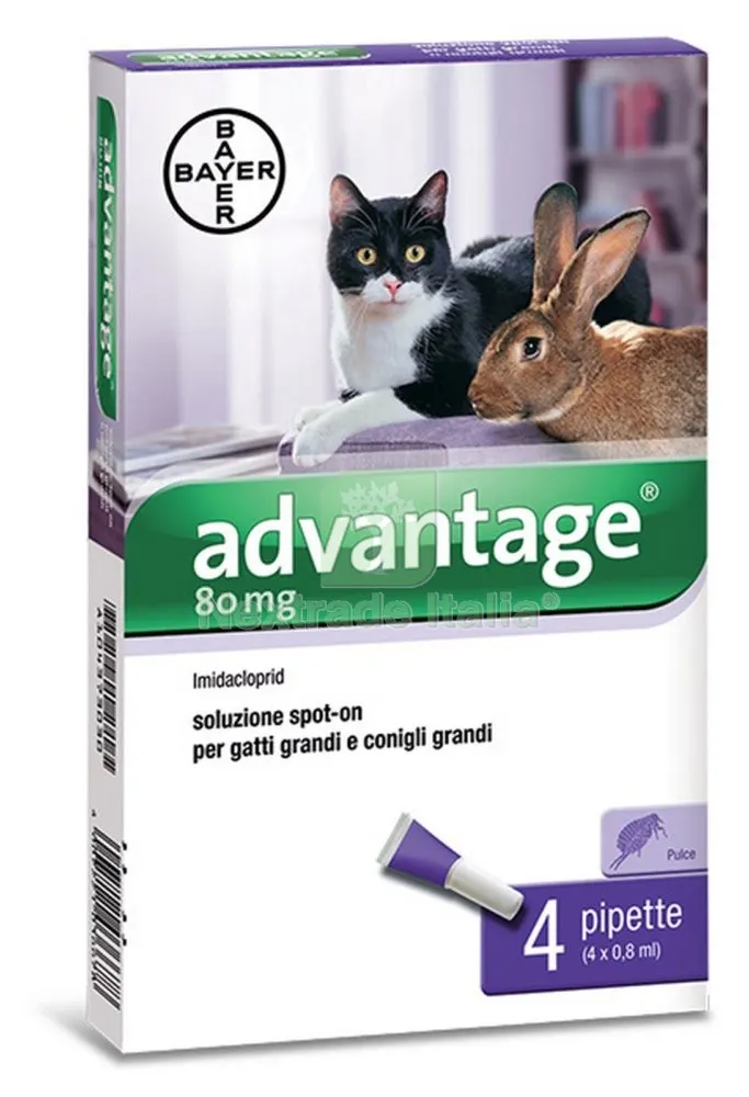 Bayer Advantage Spot ON 80 Gatti Oltre KG.4 — Gatti — rif. FERX.29090