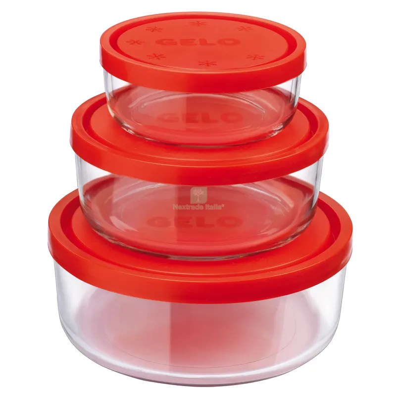 6CF Contenitore Gelobox PZ.3 — Casalinghi e organizzazione — rif. FERX.29849
