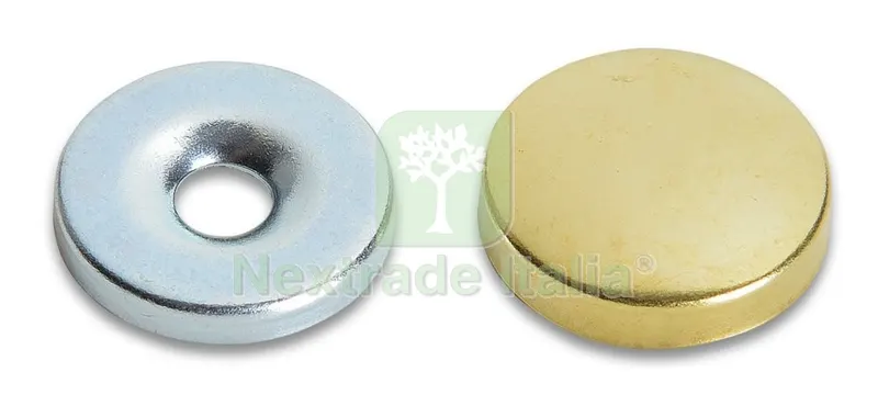 200PZ Borchia Coprivite Ottone Lucido 18 MM — Viti — rif. FERX.30540
