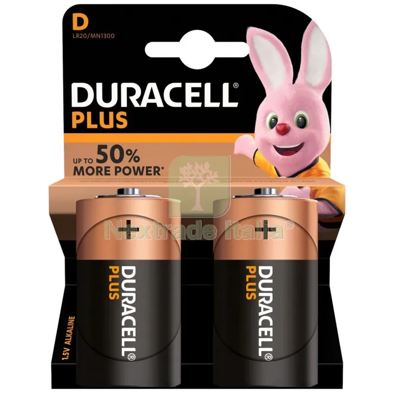 10BLISTER DURACELL PILA ALCALINA TORCIA MN1300 PZ.2 — Pile e batterie — rif. FERX.32747 10BLISTER DURACELL PILA ALCALINA TORCIA MN1300 PZ.2 — Pile e batterie — rif. FERX.32747