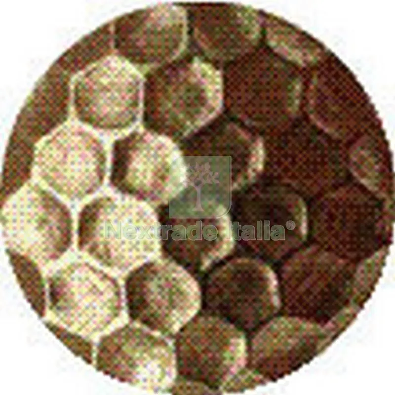BULLETTE MARTELLATE 10 MM OTTONATE (PZ.1.000) — Chiodi e graffe — rif. FERX.32979