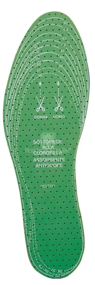 24PAIA SOLETTE DESTRA -SINISTRA "CLOROFILLA" MISURA DA 36 A 46 — Calzature antinfortunistiche — rif. FERX.34970 24PAIA SOLETTE DESTRA -SINISTRA "CLOROFILLA" MISURA DA 36 A 46 — Calzature antinfortunistiche — rif. FERX.34970