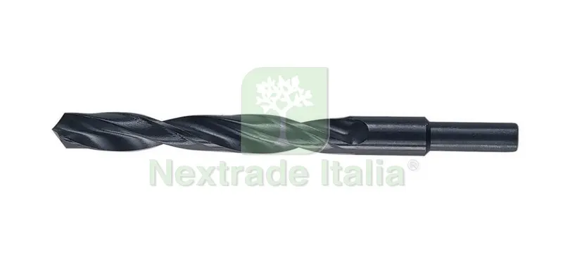 PUNTE HSS CODOLO MM.13-GR. 20 — Punte, frese e dischi — rif. FERX.35936