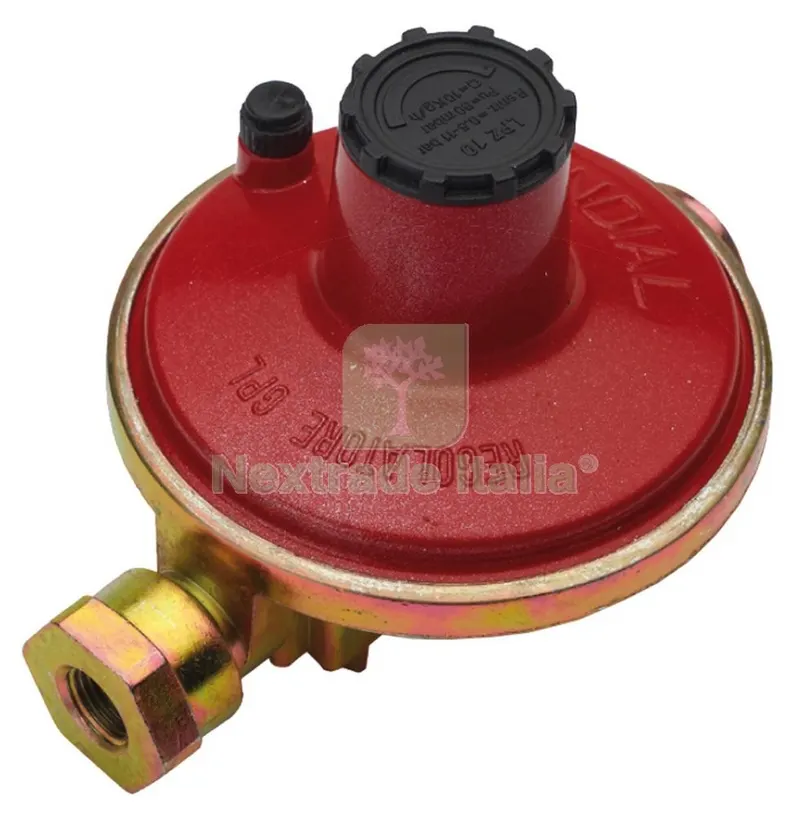 REGOLATORE GAS PER CENTRALINA 10KG H IN F.1/2 OUT F.1/2 — Rubinetti e valvole — rif. FERX.36081