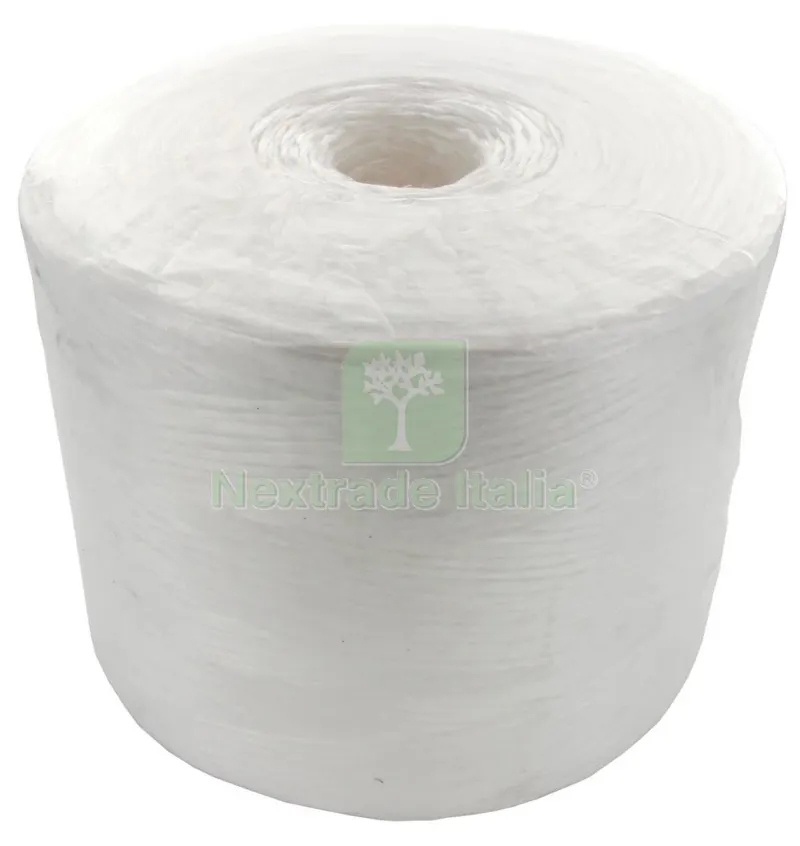 6PZ Bobina Spago Polipropilene PPL (1/1000) — Pile e batterie — rif. FERX.36486