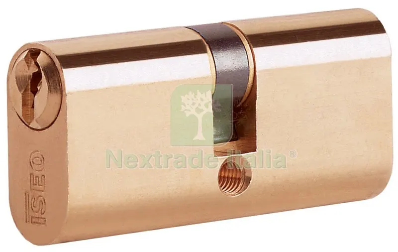 10PZ ISEO ART. 8300.27.27H CILINDRO OVALE MM. 54 — Serrature e cilindri — rif. FERX.368 10PZ ISEO ART. 8300.27.27H CILINDRO OVALE MM. 54 — Serrature e cilindri — rif. FERX.368