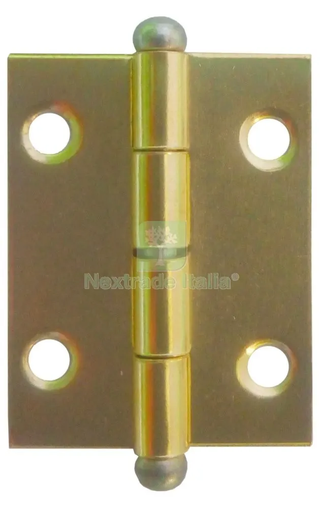 50PZ Cerniera in Acciaio Ottonata MM.30X20 — Cerniere e cardini — rif. FERX.3684