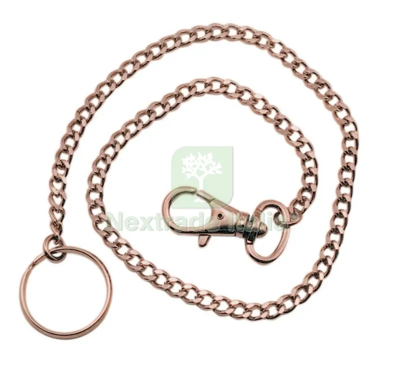 Cartella 20 Portachiavi con Catena — Ferramenta per legno e mobili — rif. FERX.37003